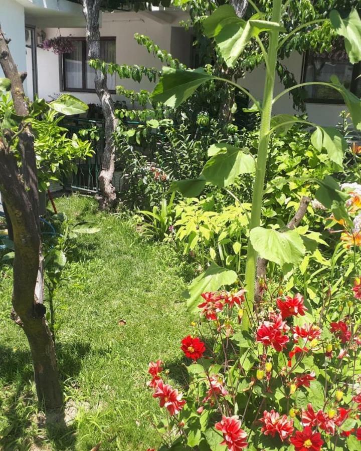 Guesthouse Dona Улцинь Екстер'єр фото